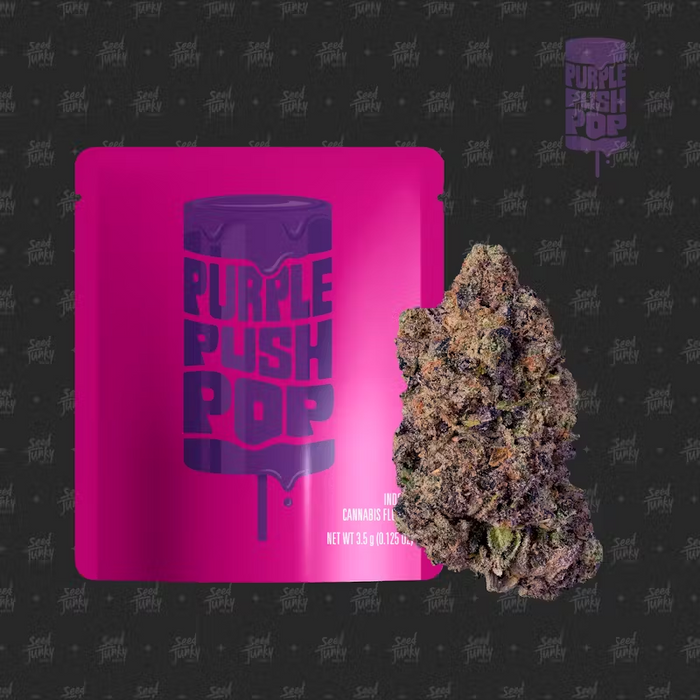 Purple Push Pop Pre-Packed 3.5g - MJ