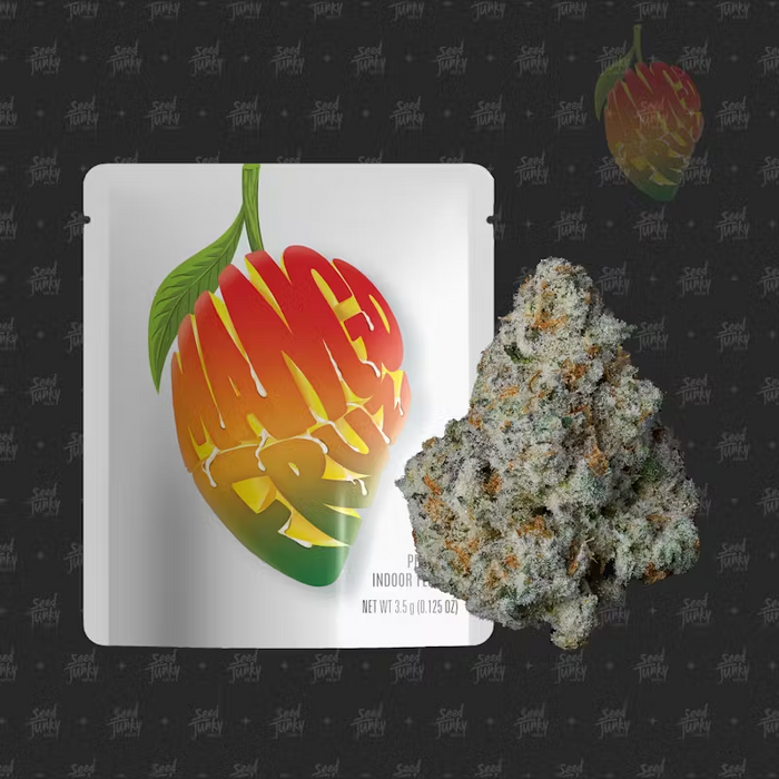 Mango Fruz Pre-Packed 3.5g - MJ