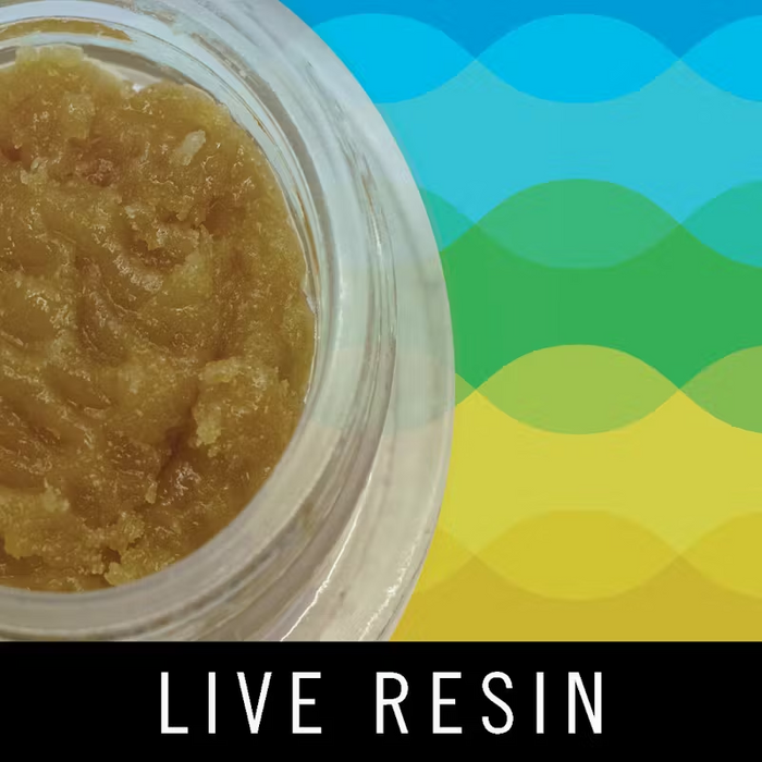 Levitate Live Resin | 5g | Stuffed French Toast - MJ