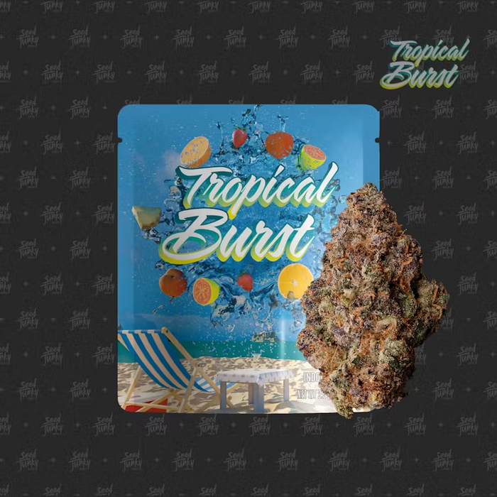 Tropical Burst Pre-Packed 3.5g - MJ