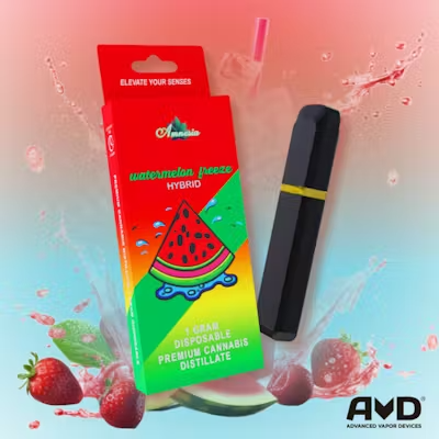 Amnesia | Watermelon Freeze | 1G Disposable Cart |-MJ